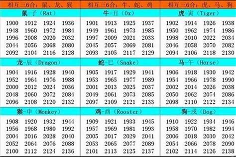 2002年生肖|2002年1月出生属什么生肖